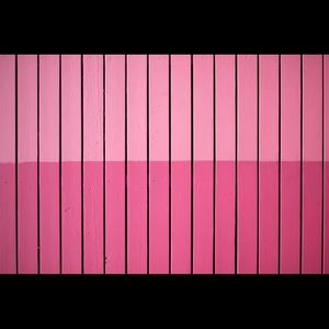 Meet your Posher, Elaney